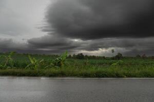 Horizontal view of asphalt road with wet surface in Thailand. Environment of rainy time. and background of Grass mixed with cassava fields. under the dark sky and rain clouds. photo