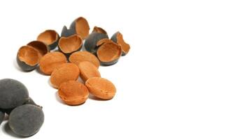 Kranji Tamarind Fruit, Dialium indum, the tamarind-plum, is a tall, tropical, fruit-bearing tree. It belongs to the family Fabaceae, and has small, typically grape-sized edible fruits. photo