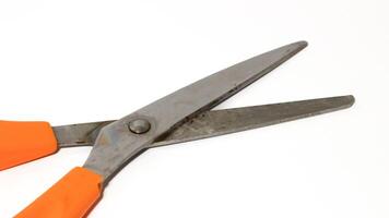 Light orange scissors on white background photo