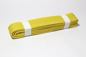 A picture of taekwondo belt on white background with selective focus photo