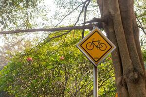 Bicycle signs with shady trees in the background. Bicycle road sign. photo