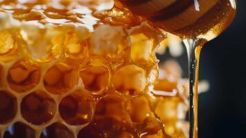 Honey dripping from a honeycombs filled with fresh sweet honey. photo