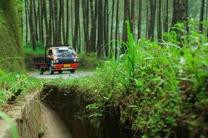 a dry waterway on a plateau A scenic country road winds through a lush pine forest, with a pickup truck driving in the distance. The road is flanked by green vegetation, creating sense of tranquility photo