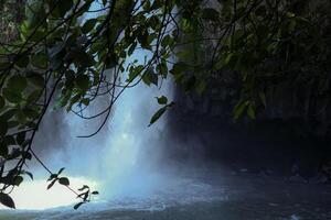 the tip of a tree branch with a view of the lower background, the cave and the waterfall pool photo