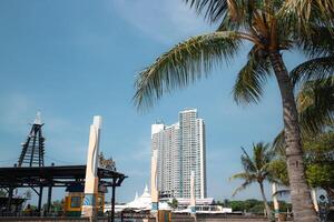 Urban beach park scene with a tall modern building, palm trees, and a clear blue sky, showcasing a blend of nature and architecture in a vibrant city setting photo
