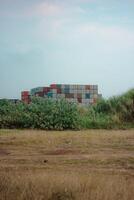 a stack of shipping containers in the distance, partially obscured by a row of green bushes. a field of dry grass, with a dirt path running through it. sky is a pale blue with a few wispy clouds. photo