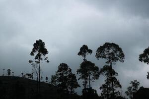 silhouette of a hill with trees on it in a dark, cloudy sky. photo