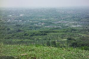 a panoramic view of a lush green landscape with a city in the distance. The scene is peaceful and serene, with a sense of tranquility and beauty. photo