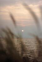 The image shows a serene sunset scene framed by tall blades of grass. The setting sun, a hazy red orb, is visible in the distance, casting a warm glow over the calm sea water. photo