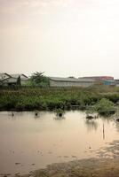 Serene wetland landscape with a calm, reflective lake surrounded by lush vegetation and industrial structures in the distance. The tranquil scene blends natural and man-made elements. photo