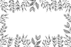 Frame of flowers. Horizontal banner, floral background. Botanical monochrome ink sketch in hand drawn style. vector