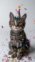 Adorable grey kitten wearing a colorful party hat photo