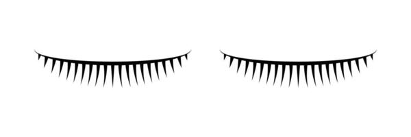 eyelash icon isolated on white background vector