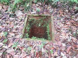 Abandoned well in the middle of forest photo