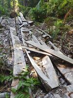 Abandoned traditional boat on the forest photo