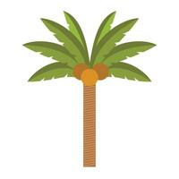 Hand drawn palm trees on white background vector