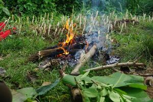 Rustic Outdoor Fire in Greenery photo