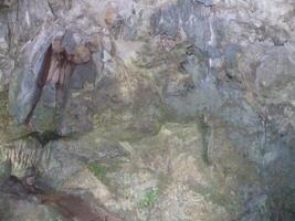 Close-up of Cave Wall with Rock Formations photo