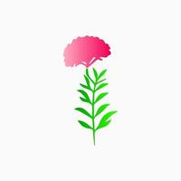 Pink flowers, floral decorated with gorgeous multicolored blooming flowers and leaves border. Spring botanical flat illustration on white background vector
