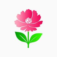 Pink flowers, floral decorated with gorgeous multicolored blooming flowers and leaves border. Spring botanical flat illustration on white background vector