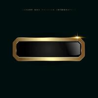 A Luxury infographic button , illustration, with luxury stoked in template, and shiny gold optionand Premium button on a dark background vector
