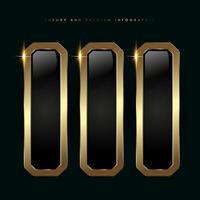 Group of three Luxury infographic buttons , illustration, 3 luxury stoked buttons in template, and shiny gold optionand Premium button on a dark background vector