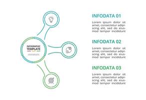 Line infographic with 3 steps, options, parts or processes. Business data visualization vector