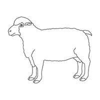 Sheep icon design vector