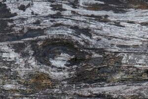 wood texture background burning and turning into wood charcoal. photo concept for forest burning, illegal logging causing climate change