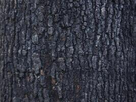 wood texture background burning and turning into wood charcoal. photo concept for forest burning, illegal logging causing climate change