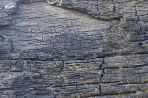 wood texture background burning and turning into wood charcoal. photo concept for forest burning, illegal logging causing climate change