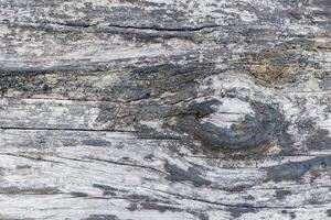 wood texture background burning and turning into wood charcoal. photo concept for forest burning, illegal logging causing climate change
