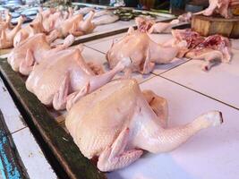 fresh meat broiler chickens or purebred chickens without feathers are sold in the market photo