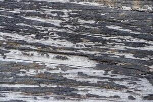 wood texture background burning and turning into wood charcoal. photo concept for forest burning, illegal logging causing climate change