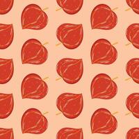 Autumn leaves seamless pattern in hand drawn style, red physalis vector