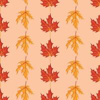 Autumn leaves seamless pattern in hand drawn style, yellow and red maple leaves vector