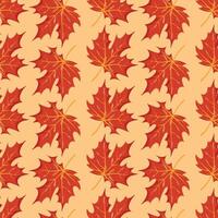 Autumn leaves seamless pattern in hand drawn style, red maple leaves vector