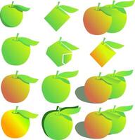 several types of green, red and yellow apples with a leaf on top. illustration apples of different colors a graphic resource for inserting into a banner announcement and e-label vector