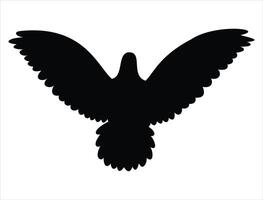 Flying dove silhouette on white background vector