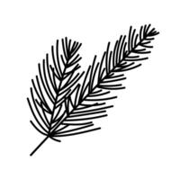 Spruce branch icon. A twig of pine, cedar, fir, sequoia. Evergreen forest plant, festive winter tree. Coniferous and needles. Hand drawn sketch, botanical doodle. Monochrome Christmas decor vector