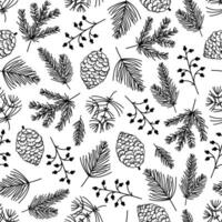 Conifer branches and cones, seamless pattern. Twigs of pine, fir, spruce. Ornament with mistletoe, berries. Evergreen wild plants, Christmas tree sprigs. Hand drawn sketch, botanical background vector