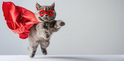 cute gray cat dressed like a superhero, in a red cape and mask, jumps and flies on a white background with space for text. Super cat, leader and funny animal concept photo