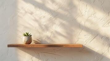 Empty space of pastel beige wall with wooden shelf and green potted plant with shadow on wall from window. Background for product demonstration and installation, montage photo