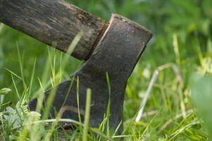Close-up of an axe embedded in wood surrounded by green grass photo