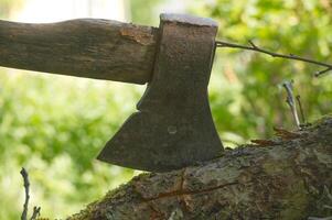 Close-up of a rustic axe embedded in a tree stump in a sunny garden photo