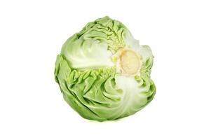 Fresh green cabbage isolated on white background photo
