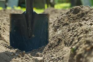 Spade is embedded in the ground, surrounded by well tended soil photo