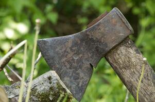 Close-up of an axe embedded in wood surrounded by green grass photo