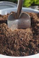 Gardening in the garden, using a shovel, surrounded by nature and sunlight, enjoying being outside photo