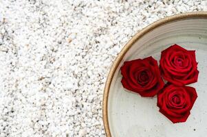 Red roses flowers in pot with water puts on white small stone for zen and spa concept. photo